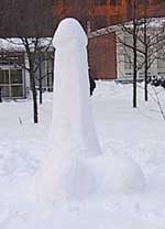 erections